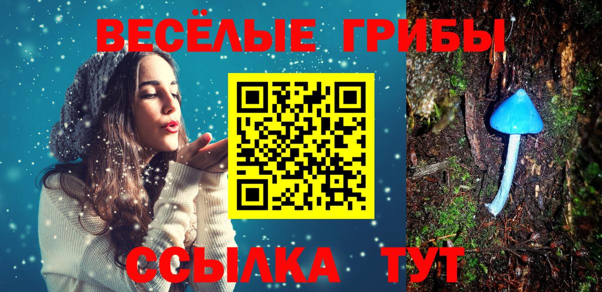 Псилоцибиновые грибы Psilocybine cubensis  даркнет сайт  Саянск  Вход с VPN 