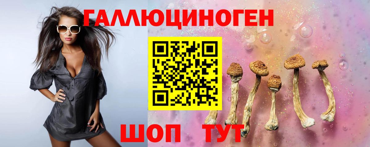 Псилоцибиновые грибы GOLDEN TEACHER Саянск